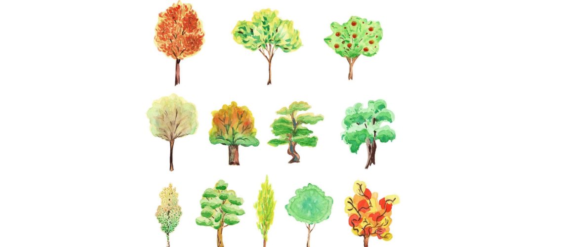 12 TREES