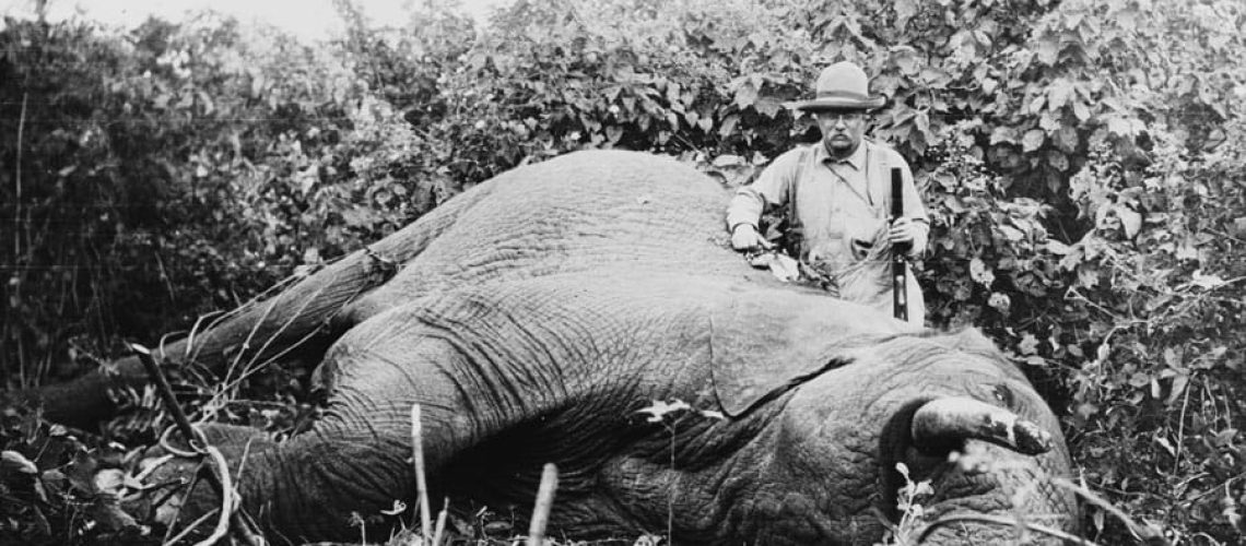 Theodore,Roosevelt,,With,Gun,Stands,Beside,A,Dead,Elephant,He