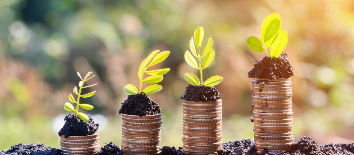 ETHICAL INVESTMENT