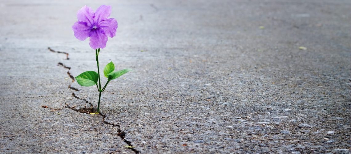 HOPE