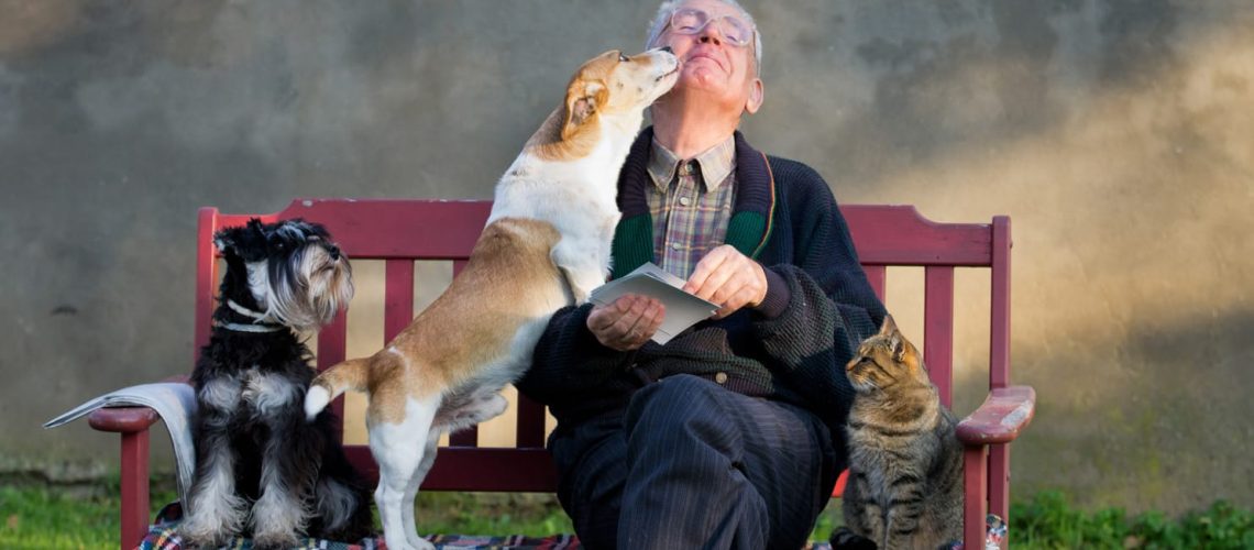 Senior,Man,With,Dogs,And,Cat,On,His,Lap,On