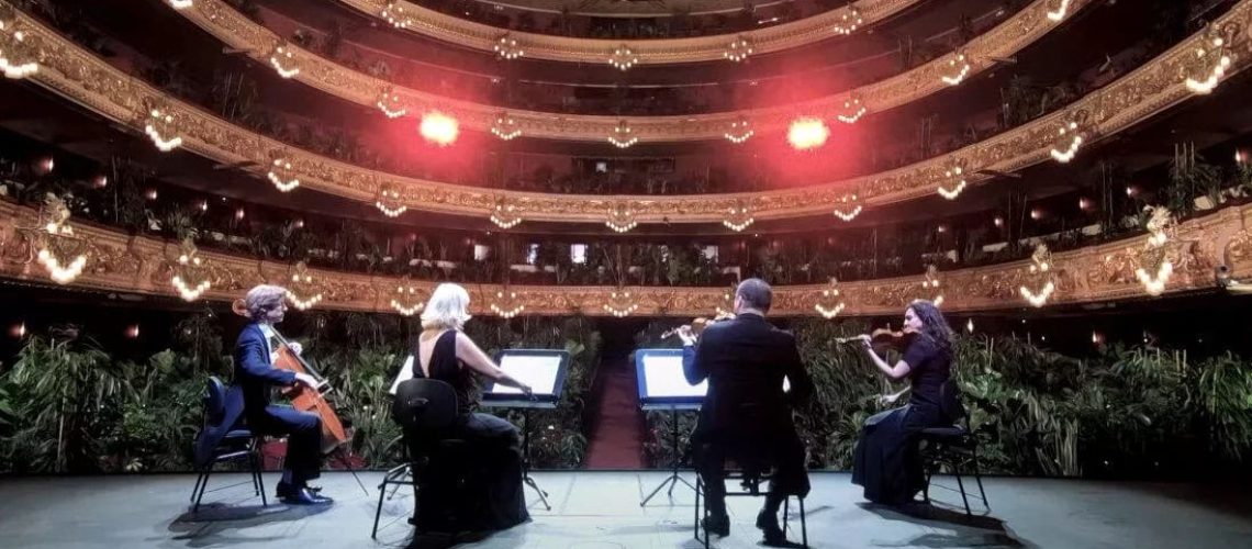 PLANTS BARCELONA OPERA HOUSE copy