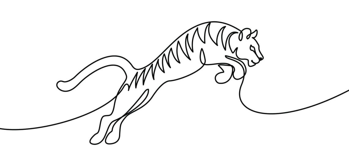 tiger7